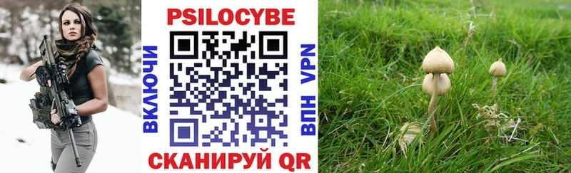 цена   Воркута  Псилоцибиновые грибы GOLDEN TEACHER 