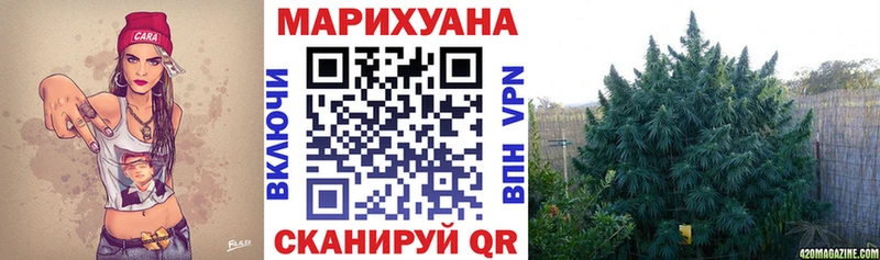 купить   Воркута  Бошки Шишки ГИДРОПОН 